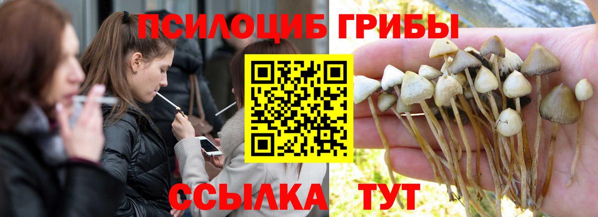 Псилоцибиновые грибы мицелий  Галлюциногенные грибы Psilocybe  Жигулёвск  Вход с VPN 