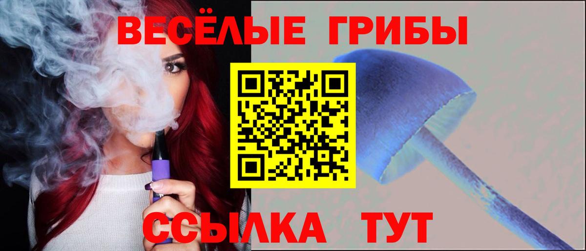 Псилоцибиновые грибы мухоморы Жигулёвск